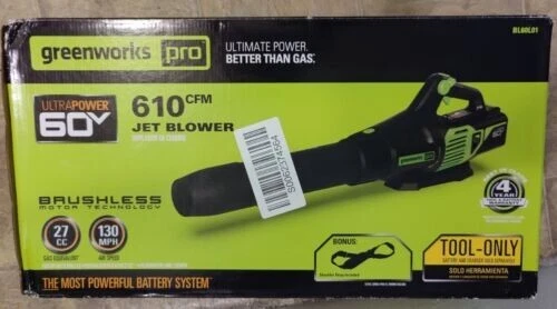 Greenworks bl60l00 deals