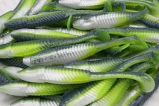 3.5" Sexy Shad Paddle Tail Swimbaits Soft Plastic Bass Walleye Fishing Lure