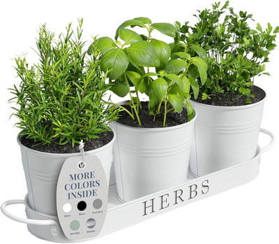 Indoor Herb Garden Planter Set with Tray, Metal Windowsill Plant Pot Set/3 (Whit
