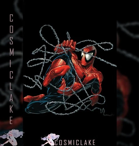 SPIDER-MAN #1 MCFARLANE FOIL PANINI MEGACON VARIANT LTD 1K PREORDER 4/3☪