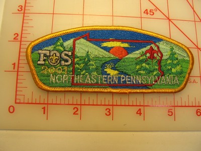 Northeastern Pennsylvania Council CSP collectible 2001 FOS patch (y40)