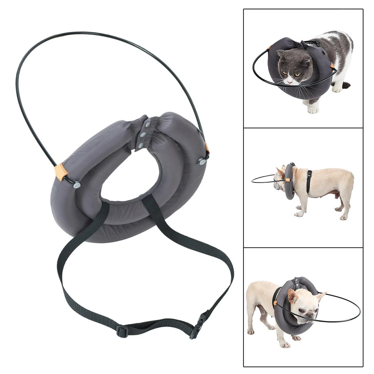 Blind dog 2025 halo harness