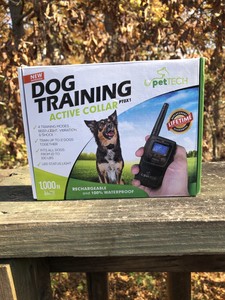 pettech dog training active collar