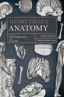 Henry Gray's Anatomy Descriptive And Surgical Henry Gray Taschenbuch Englisch