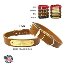 WARNER SPORTING CUMBERLAND LEATHER DOG COLLAR TAN 19" FREE ENGRAVED BRASS ID TAG