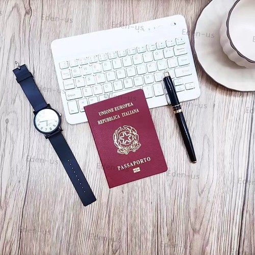 46 Countries Passport Notebook Movie Props Student Imitation Travelling Diary - Picture 22 of 54
