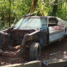 1971 Ford Mustang for Sale