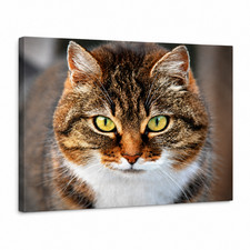 Custom Cat Portrait Canvas Wall Art Personalized Pet Photo Dog Cat Gift Decor
