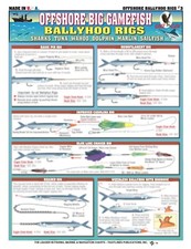 مقتنيات Saltwater Bait