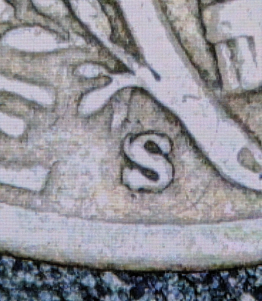 1943-S S/S 10c Silver Mercury Dime Rpm S/S West Error Repunched Mint Mark - Image 3 of 4