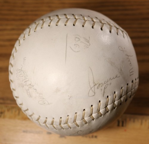Pallone donna softball 1 agosto 1963 squadra firmato Detroit Michigan sopra Wyandotte - Foto 3 di 7