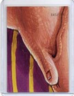 Bild 82 von 235