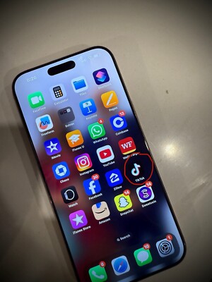 Tiktok Installed. Iphone 16 Pro Max. 