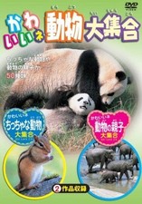 [DVD] Cute Animals Collection [Dvd]_