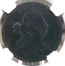 1802 Draped BUST Large Cent 1c NGC VF Details #001 Very Fine ECC&C Inc