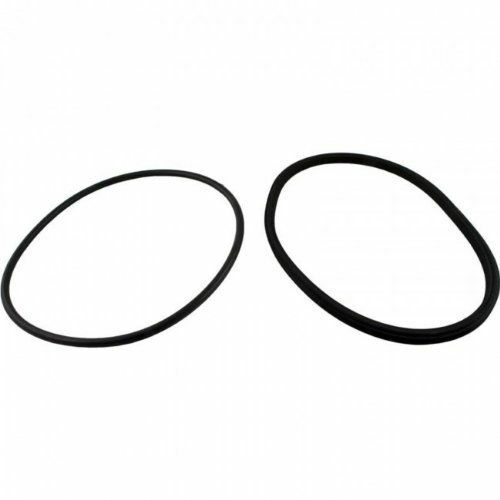 O-Ring Jandy R0446200 Lid