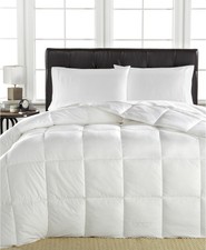 Ralph Lauren Silver Comfort European Down Twin Comforter White