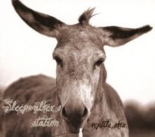 Reptile Skin von SleepwalkerS Station | CD | Zustand sehr gut