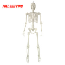 Hanging Posable Skeleton Decoration, White, 5 Feet Halloween by Way To Celebrate