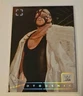 2024 Panini Photogenic WWE Legends Vader Wedges /49