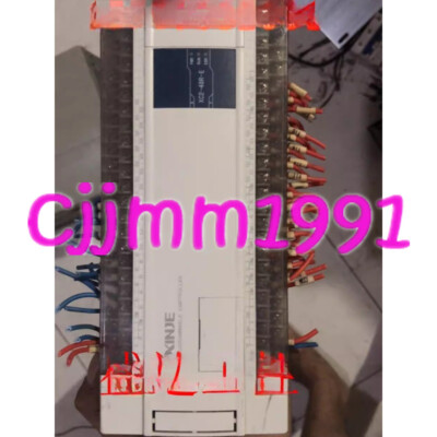 1PC USED XINJE PLC Programmable controller XC2-48R-E #YY