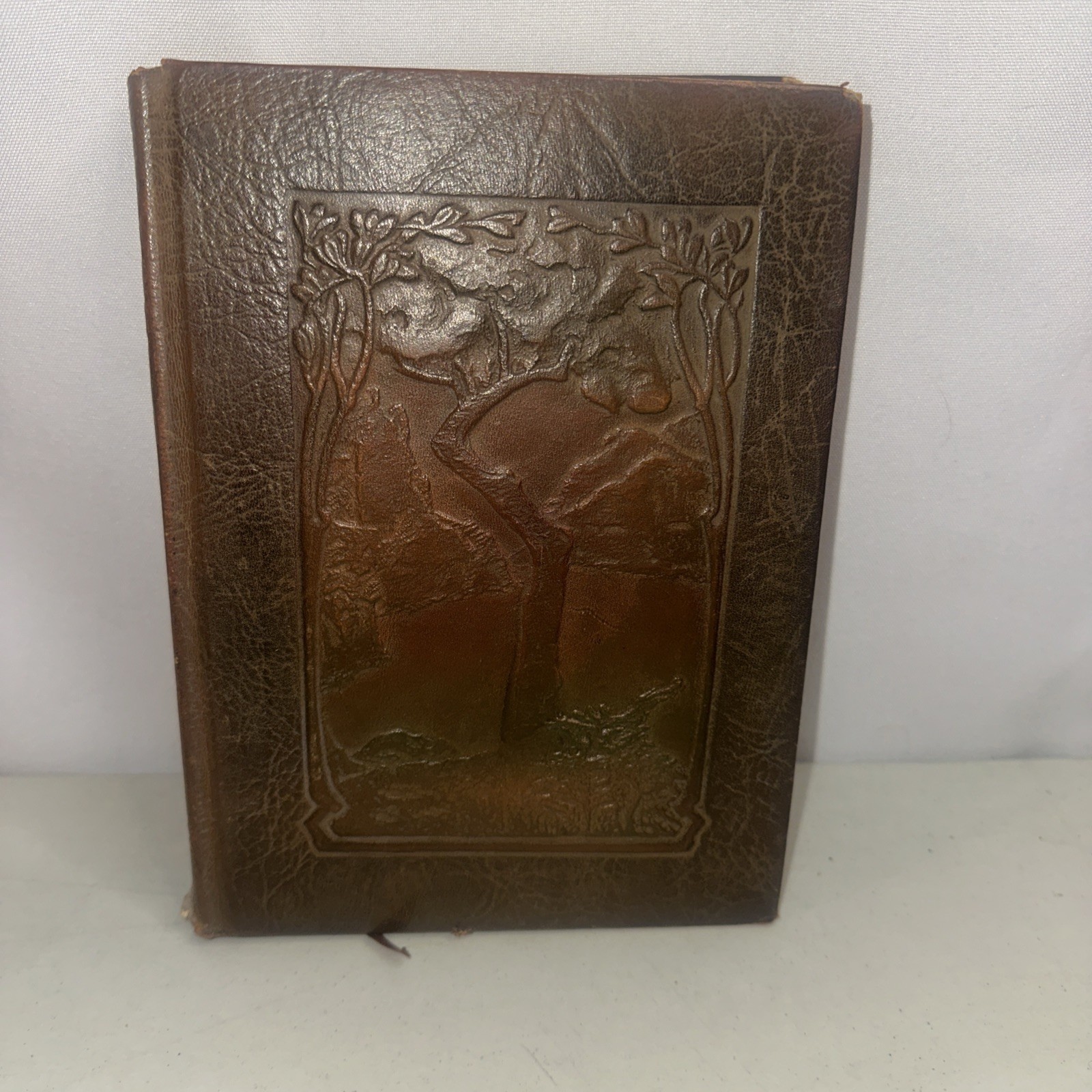 1916 Vintage Book | Elbert Hubbard LITTLE JOURNEYS Vol. VI. Eminent Artists