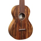Martin C1K Koa Concert Ukulele w/ Gig Bag