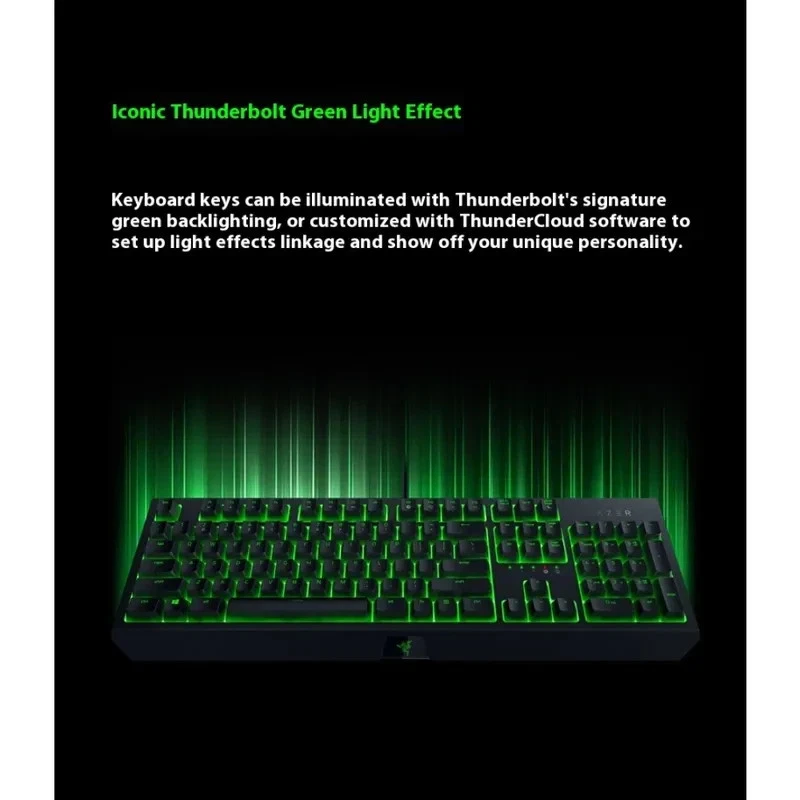 Razer BlackWidow Green Backlit Gaming Keyboard - Mechanical - Full Size - Image 4 of 4