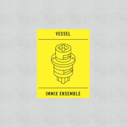 Immix Ensemble & Vessel Transition (Vinyl LP) 12" EP