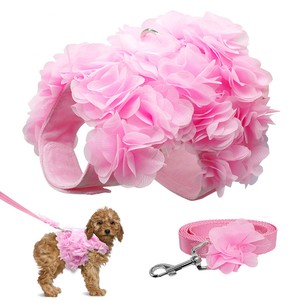 puppy walking harness