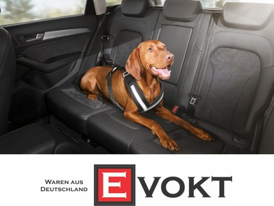 audi dog harness