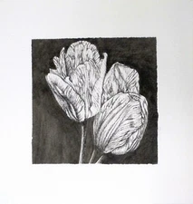 TULIPS 3 - PEN DRAWING - ART ORIGINAL - STUDIO ANGELA
