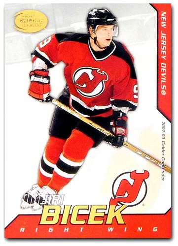 2002-03 Pacific Calder **** PICK YOUR CARD **** From The SET - Picture 77 of 101