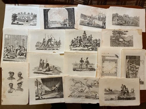 99 copperplate engravings around 1830-peoples-tribes-people-tools-animals-collection/bundle