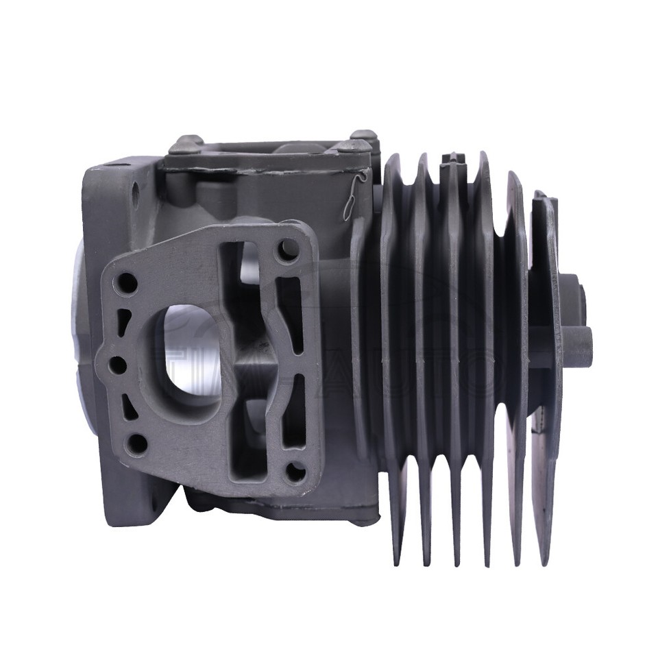 Carburatore Per Soffiatori ECHO PB-8010H/T E PB-9010H/T – Ricambio Beautycom A021004920