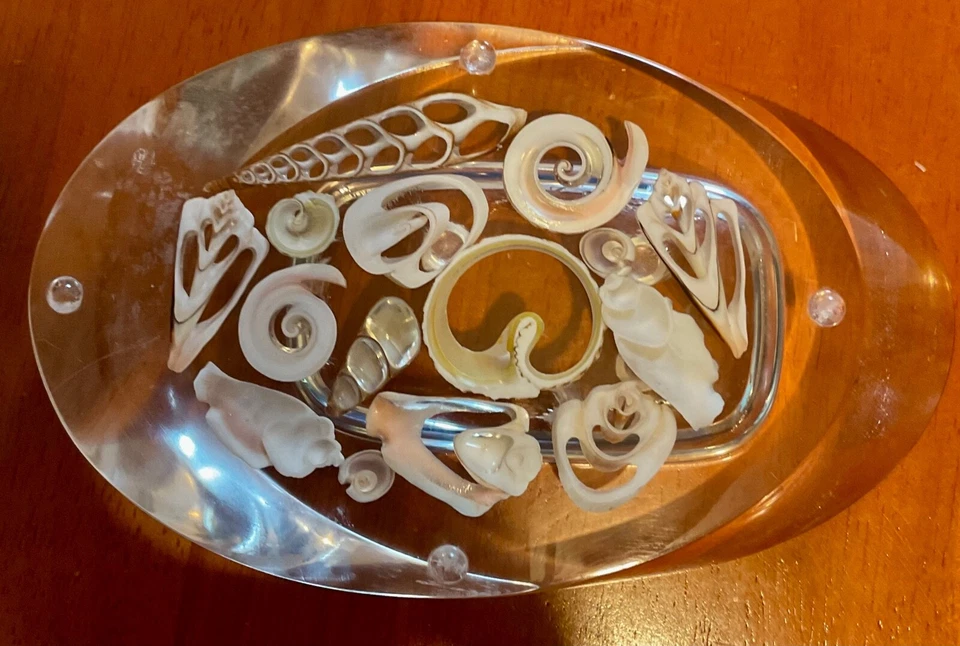 ACRYLIC SWIRL SOAP DISH W/REAL SEA SHELLS. APPROX 6.5" - Image 2 of 4