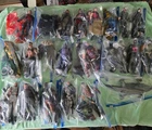 G.I. JOE CLASSIFIED LOT SERPENTOR ONCE A MAN CRIMSON STRIKE TEAM ALL ACCESSORIES