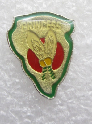 Princess Lettered Feather Arrow Lapel Pin (E275)