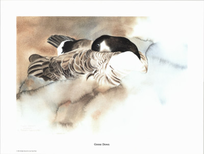 Lynn Toneri Ward Goose Down Signed Numbered 1979 25x19 in
