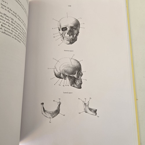 VTG Anatomy For The Artist 142 full-page plates 1995 Hardcover Book Large 10x14 - Picture 12 of 17