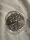 2013 WALKING LIBERTY AMERICAN EAGLE .999 FINE SILVER DOLLAR COIN 1oz. $1 USA