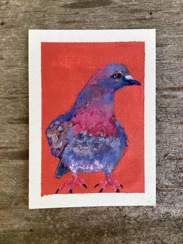 ACEO Original Hand Painted Acrylic Fine Art Miniature | Pigeon | colorful bird