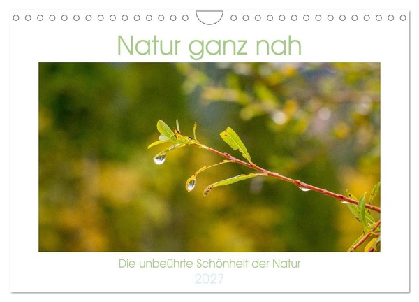 "Calendar 2027 · US Version · Nature Up Close Calendar (Wall Calendar 2027 12\" ×"-image