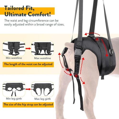 XL Extra Large Dog Lift Harness Adjustable Support for Hind Legs Disabled Senior - Bild 2 von 4