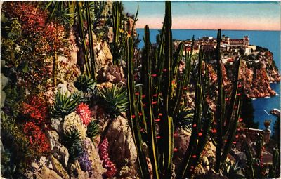CPA AK MONACO - Le Jardin Exotique et le Rocher (477121)