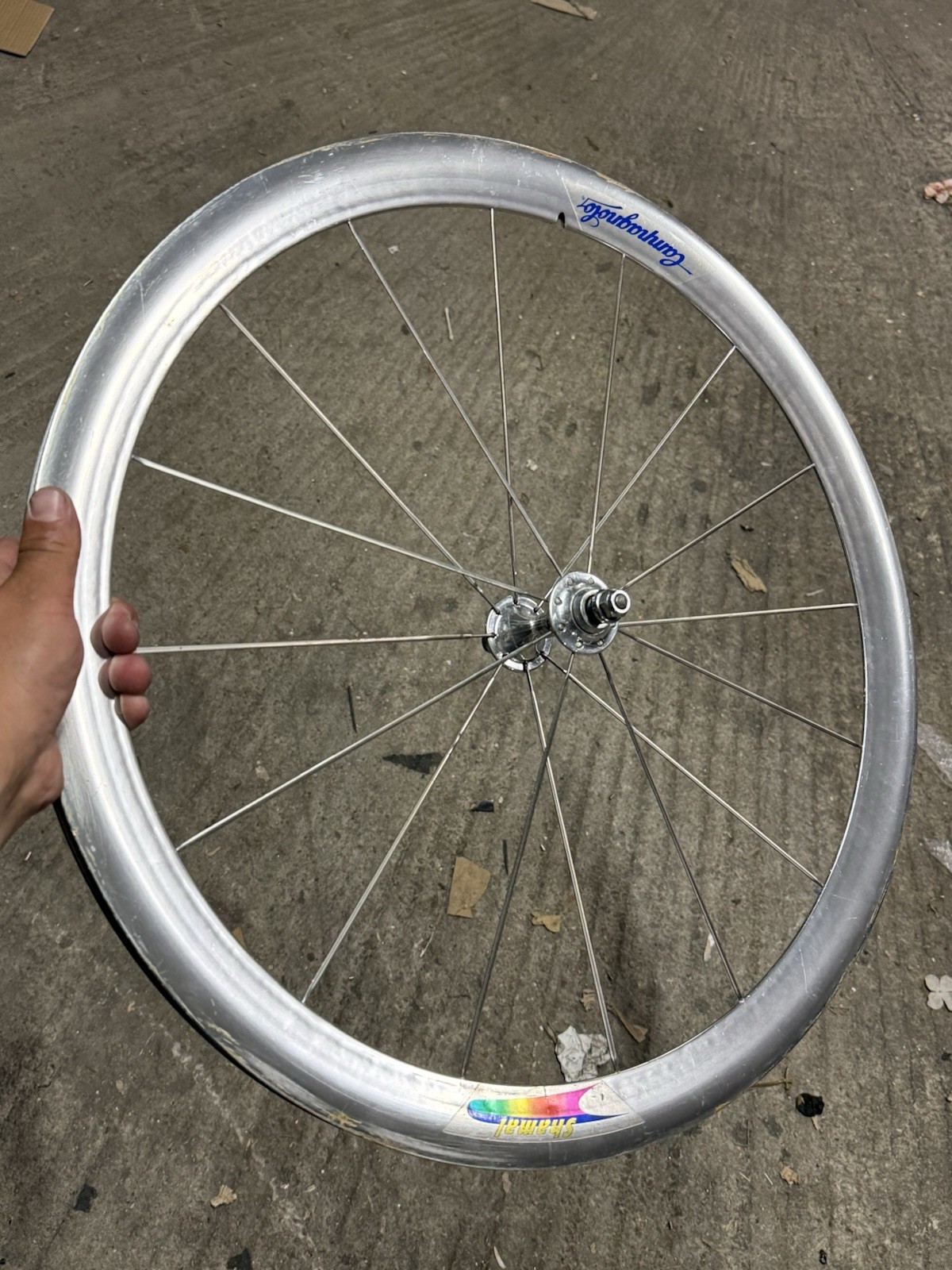 Rare Campagnolo Shamal Front Wheel 1st Gen Pista 650c Tubular