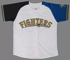 Hokkaido Nippon-Ham Fighters 20th Memorial Jersey, L White, Polyester Used