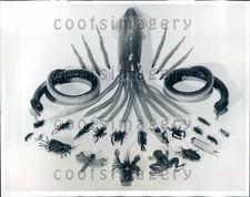 1961 Squid Lob Worms Water Snakes Fishing Lures Press Photo