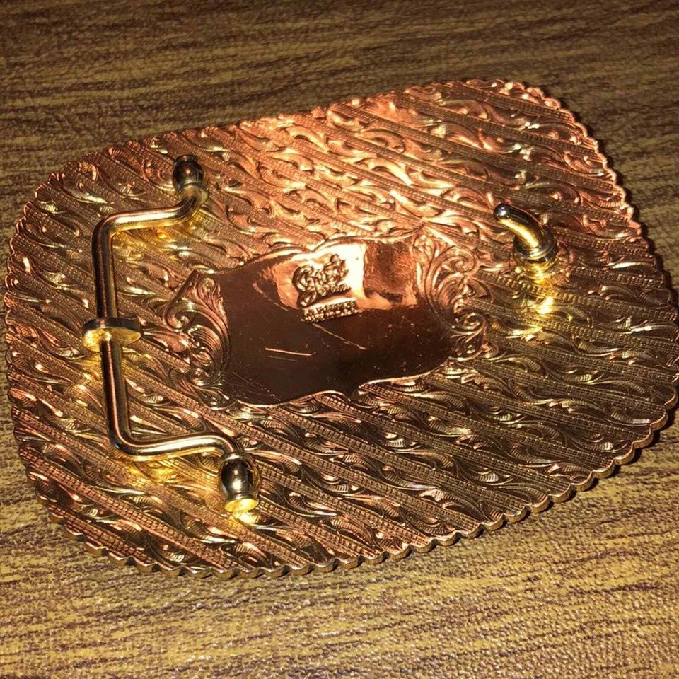 De colección Gist Bronce NBHA National Barrel Caballo Nebraska Campeón Hebilla de Cinturón Foto 4 de 4