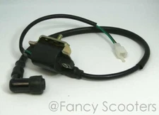 Trailmaster 125cc TM15, TM21 , DirtBike High Tension Ignition Coil